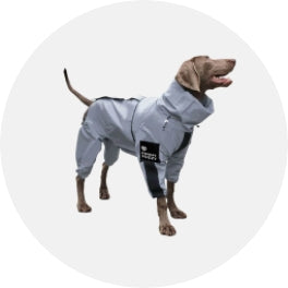 Pet Apparel