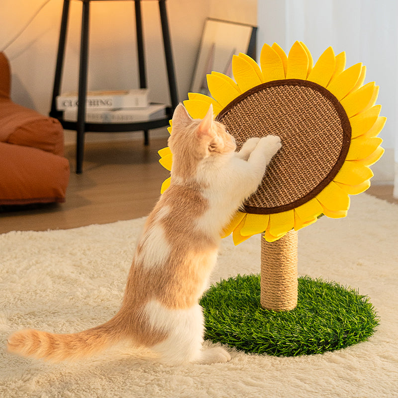 Tablero de rasguños de gato de sisal de girasol con base de hierba estable