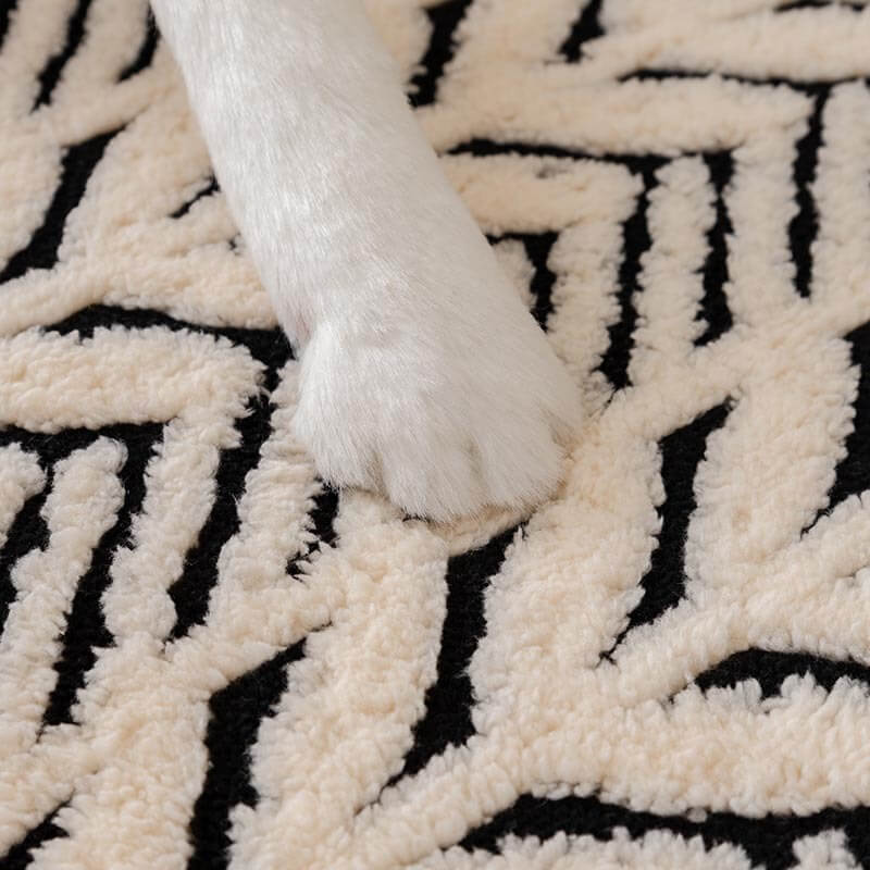 Coperchio di divano anti-scratch di peluche e crasph di peluche e craspelli