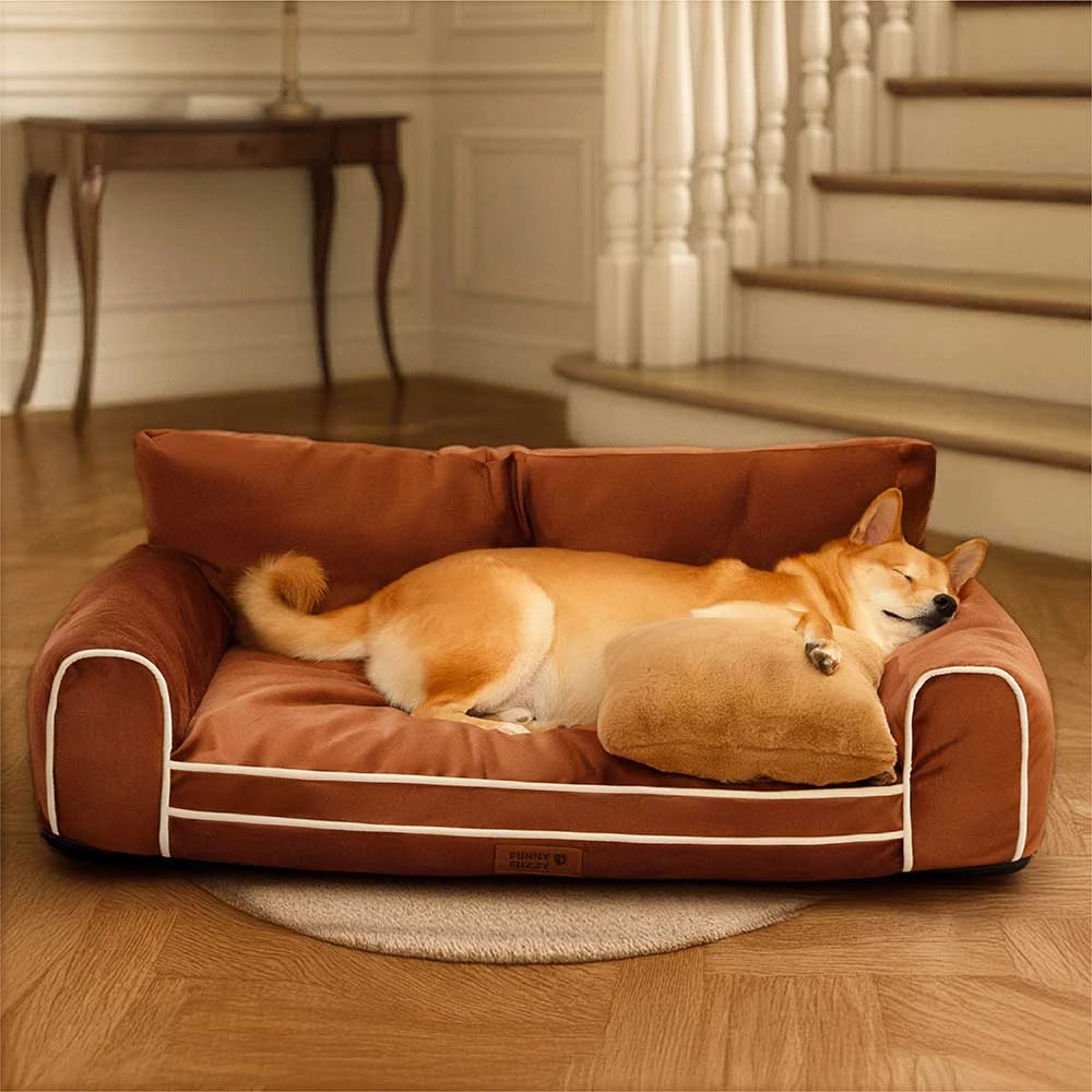Deluxe Silk Velvet extraíble Bed ortopédico para perros con almohada - Regalrest