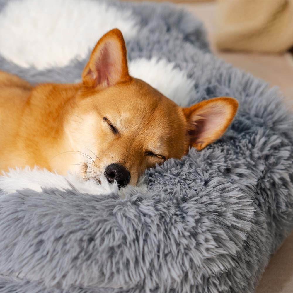 Punto de patada de cama para perros sin deslizamiento y esponjoso lavable