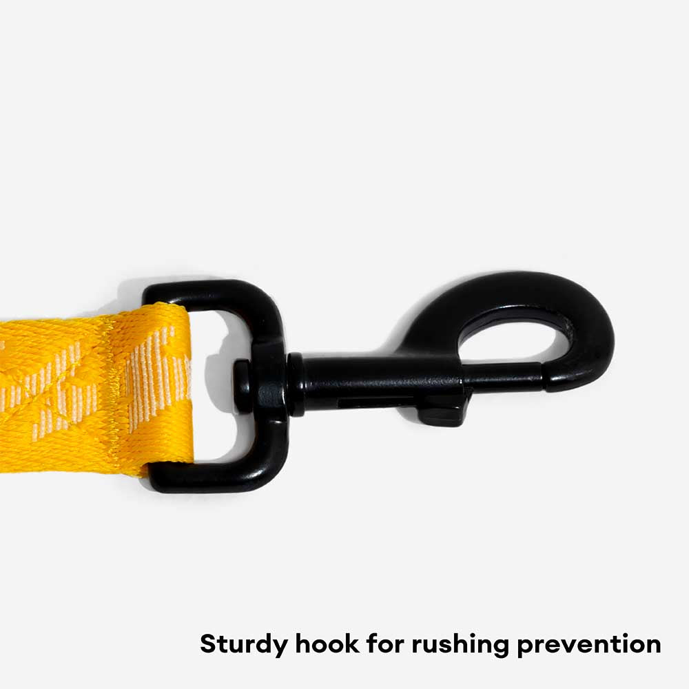 Correo de perros de nylon de mango suave versátil de doble lado de doble cara - Caminador flexible