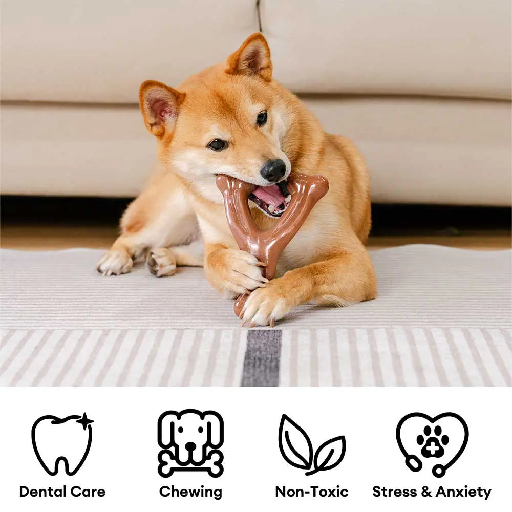 Jouet à mâcher pour chien, os de dentition, aromatisé au bacon