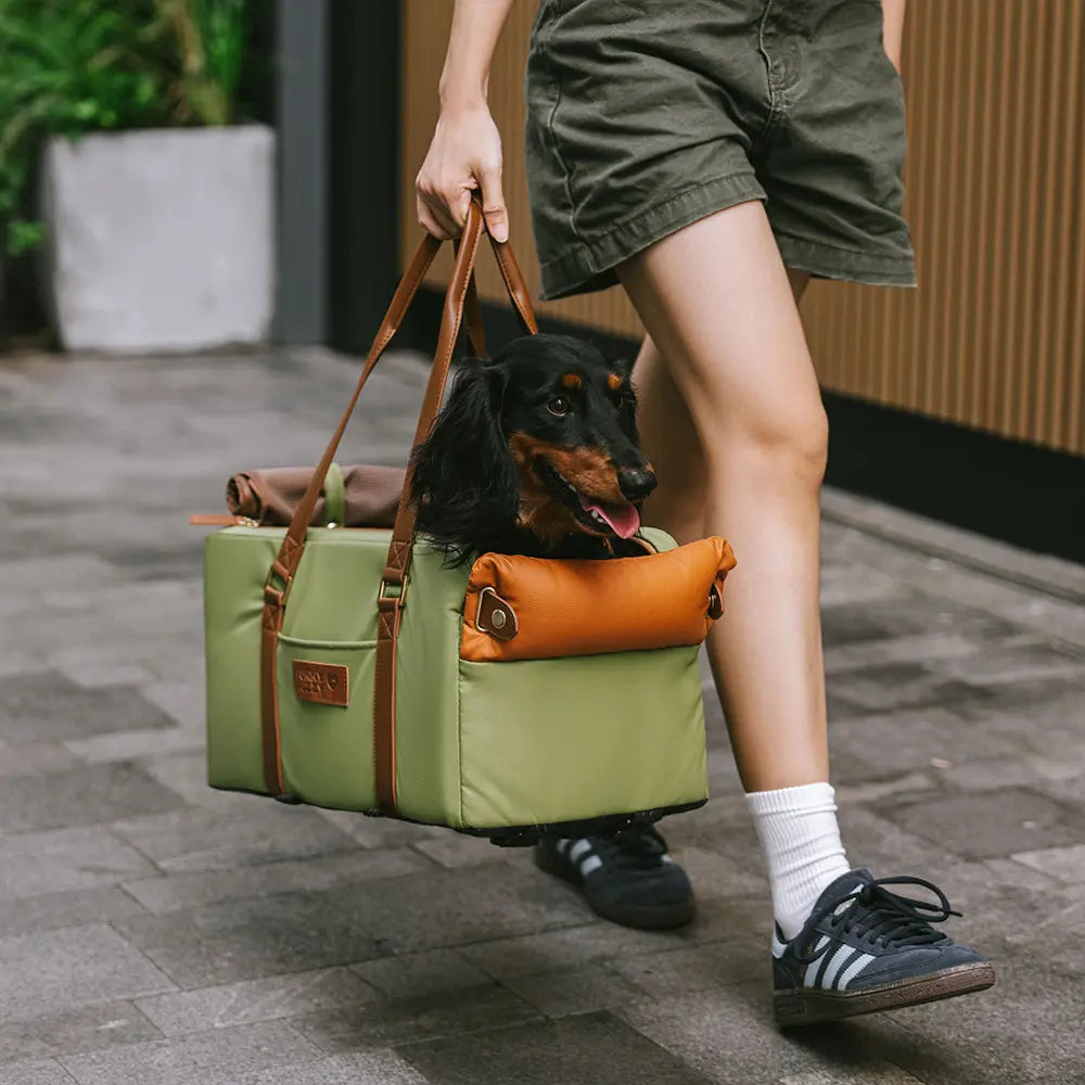 Asiento y transportista de la consola del centro de seguridad de cuero de cuero de lujo - Voyager Urban