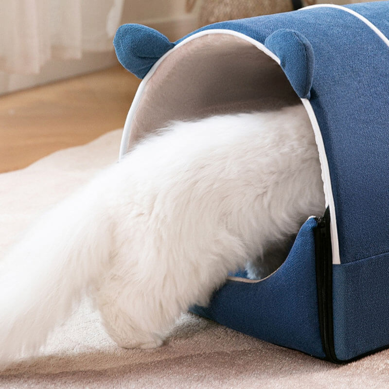 2 en 1 lindas orejas de oso removible casa para perros