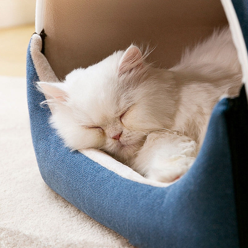 2 en 1 lindas orejas de oso removible casa para perros