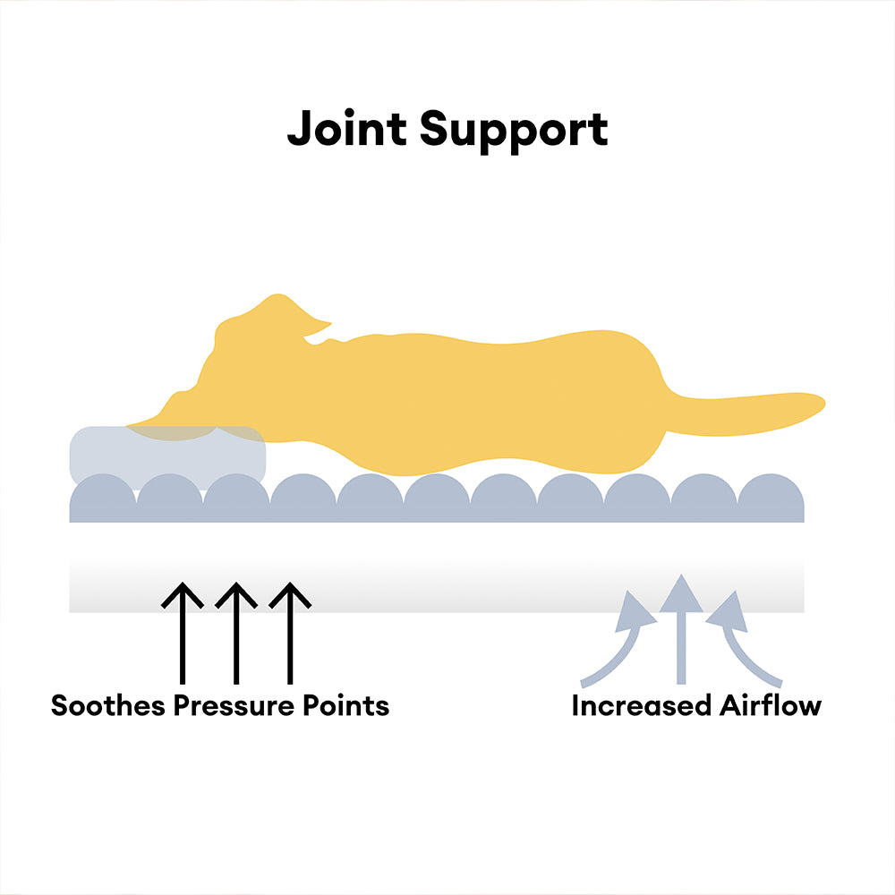 Gran almohada de perros suaves y esponjosas lavables con almohada de perro suave para perros sofá sofa-snozy sueño