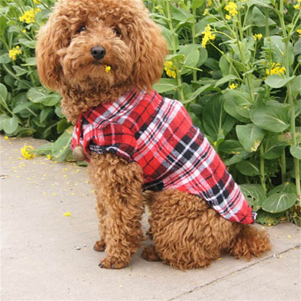 Classica camicia per cani a quadri - accogliente ed elegante per ogni occasione