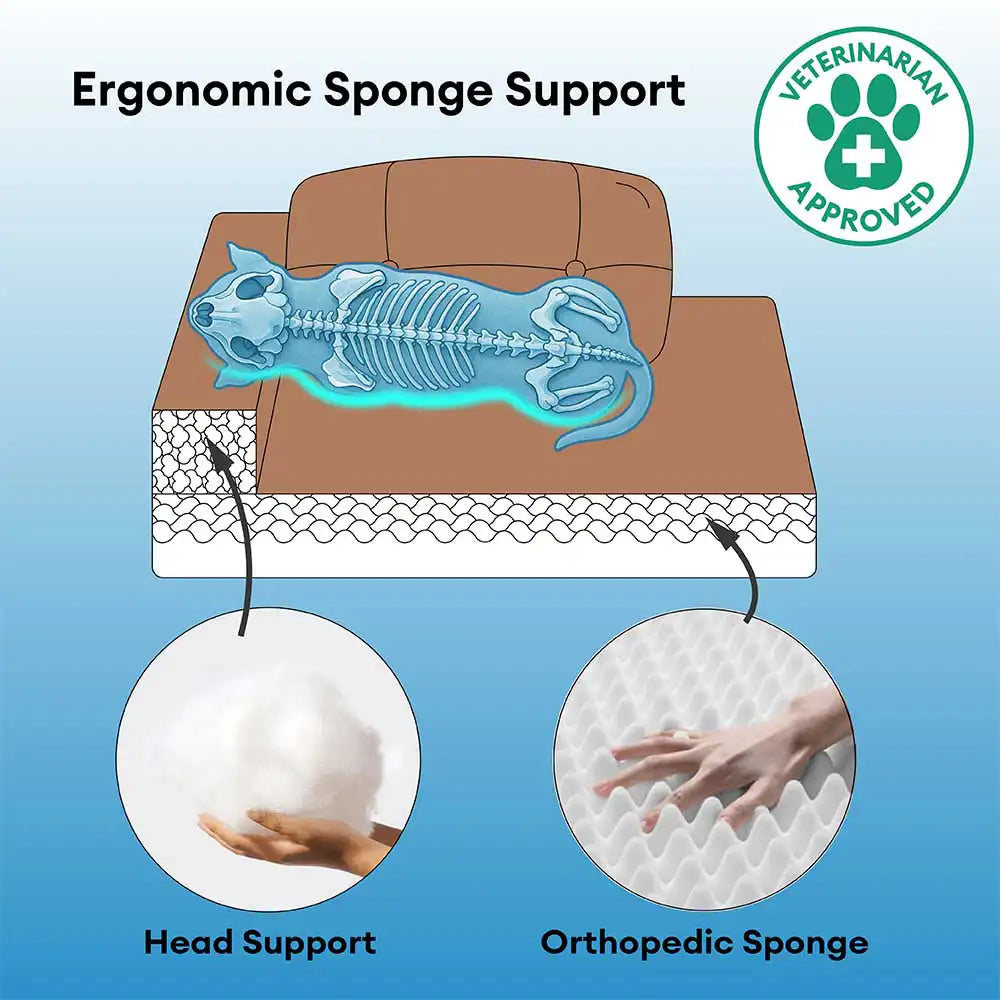 Cana de cana Anti -Scratch Exprovable Cama de perros ortopédica con almohada - COMFYSOFA