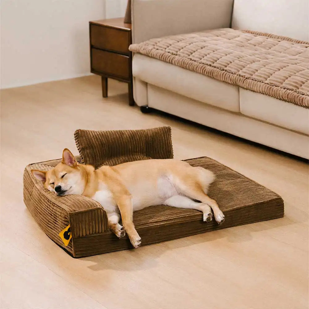 Cana de cana Anti -Scratch Exprovable Cama de perros ortopédica con almohada - COMFYSOFA