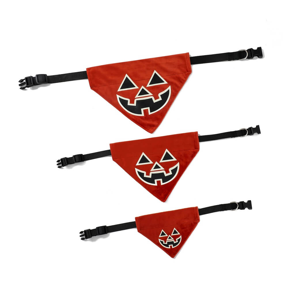 Luminoso Bandana de mascota de Halloween | Triángulo brillante y collar