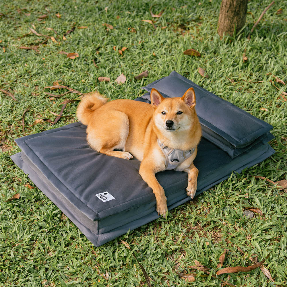 Anti-Anxiety with Sponge Support Deep Sleeping Dog Bed