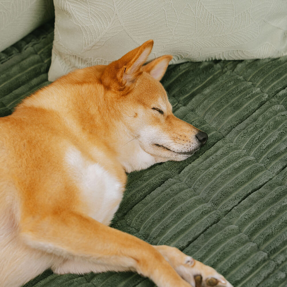 Cubiertas de sofá sin deslizamiento de franela suave y transpirable