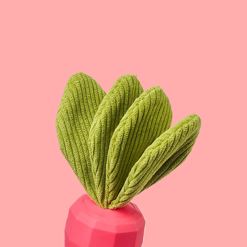 Giocattolo cigolare di carote durevole cane da masticare giocattolo