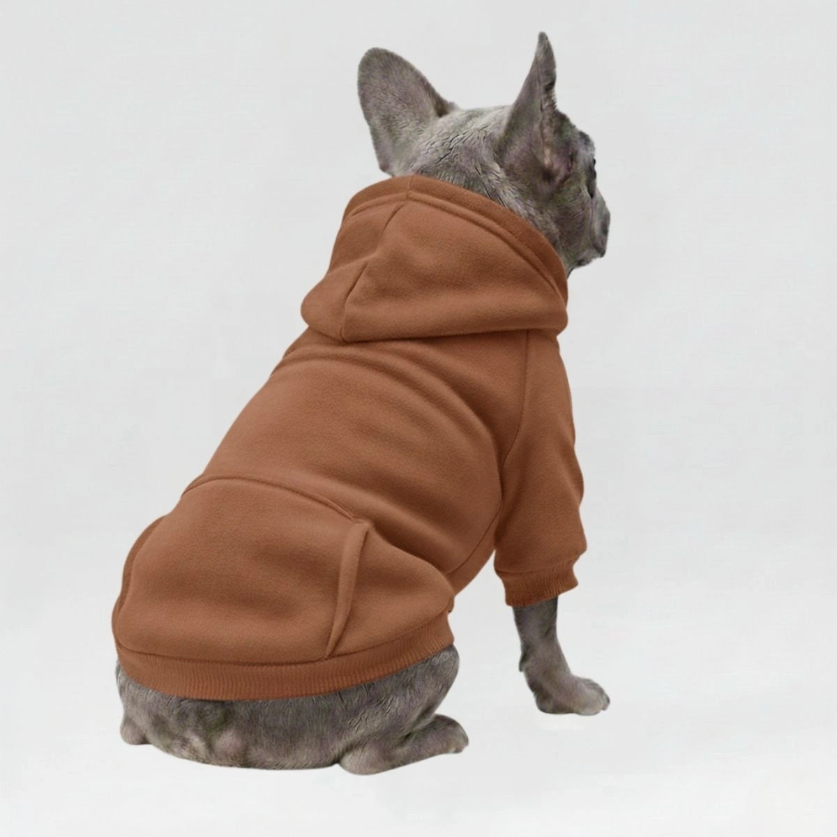 Bunte, gemütliche Hunde-Kapuzenpullover – perfekt für Komfort bei jedem Wetter
