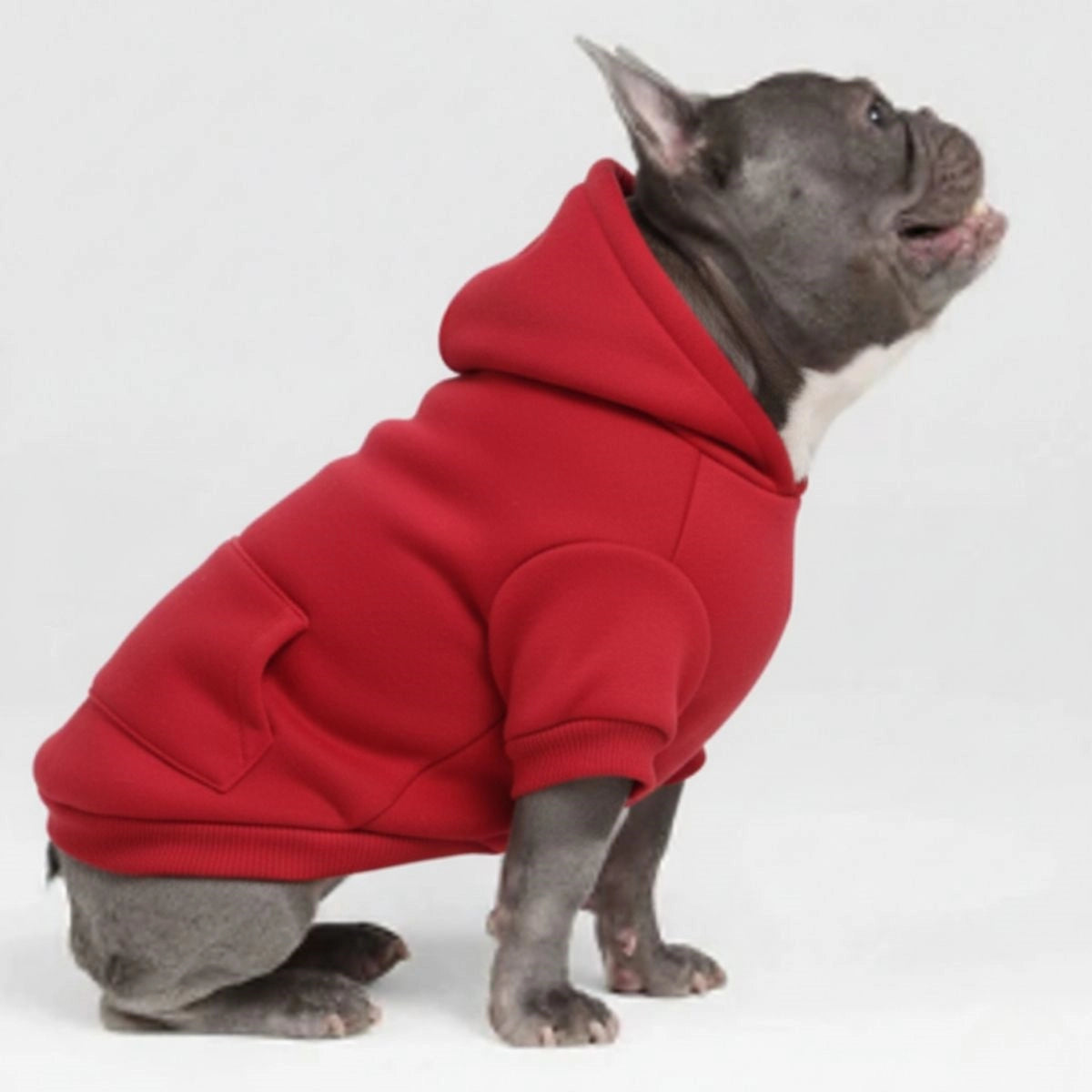 Bunte, gemütliche Hunde-Kapuzenpullover – perfekt für Komfort bei jedem Wetter