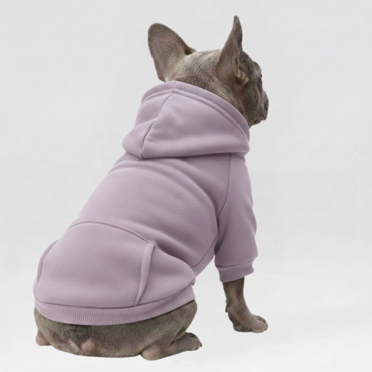 Bunte, gemütliche Hunde-Kapuzenpullover – perfekt für Komfort bei jedem Wetter