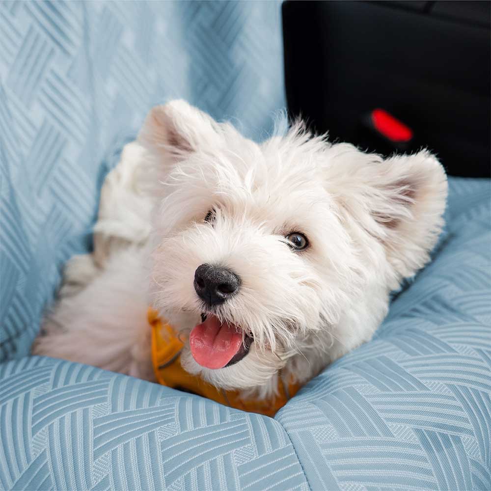 Bolstia de viaje de enfriamiento Seguridad asiento trasero Bed de asiento para perros grande - Rover con frío