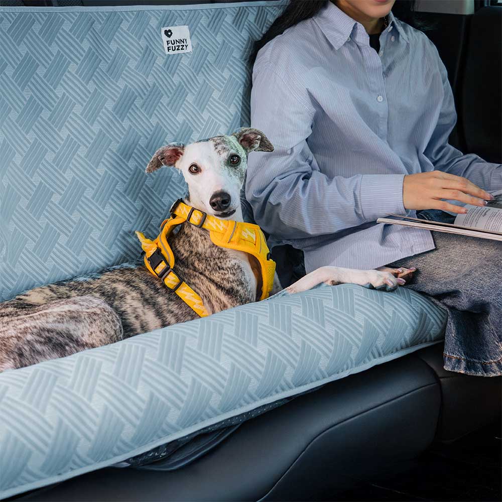 Bolstia de viaje de enfriamiento Seguridad asiento trasero Bed de asiento para perros grande - Rover con frío