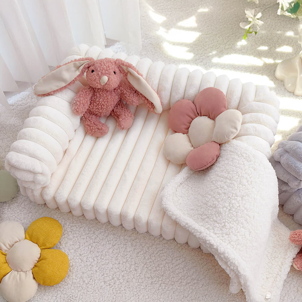 Cama ortopédica de confort de crema esponjosa y sofá de gato