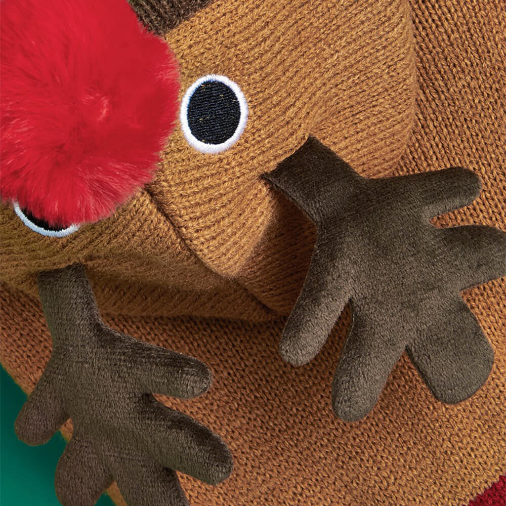 Christmas espesos calientes de perros tortuga calientes calcetines a juego para mascota y propietario