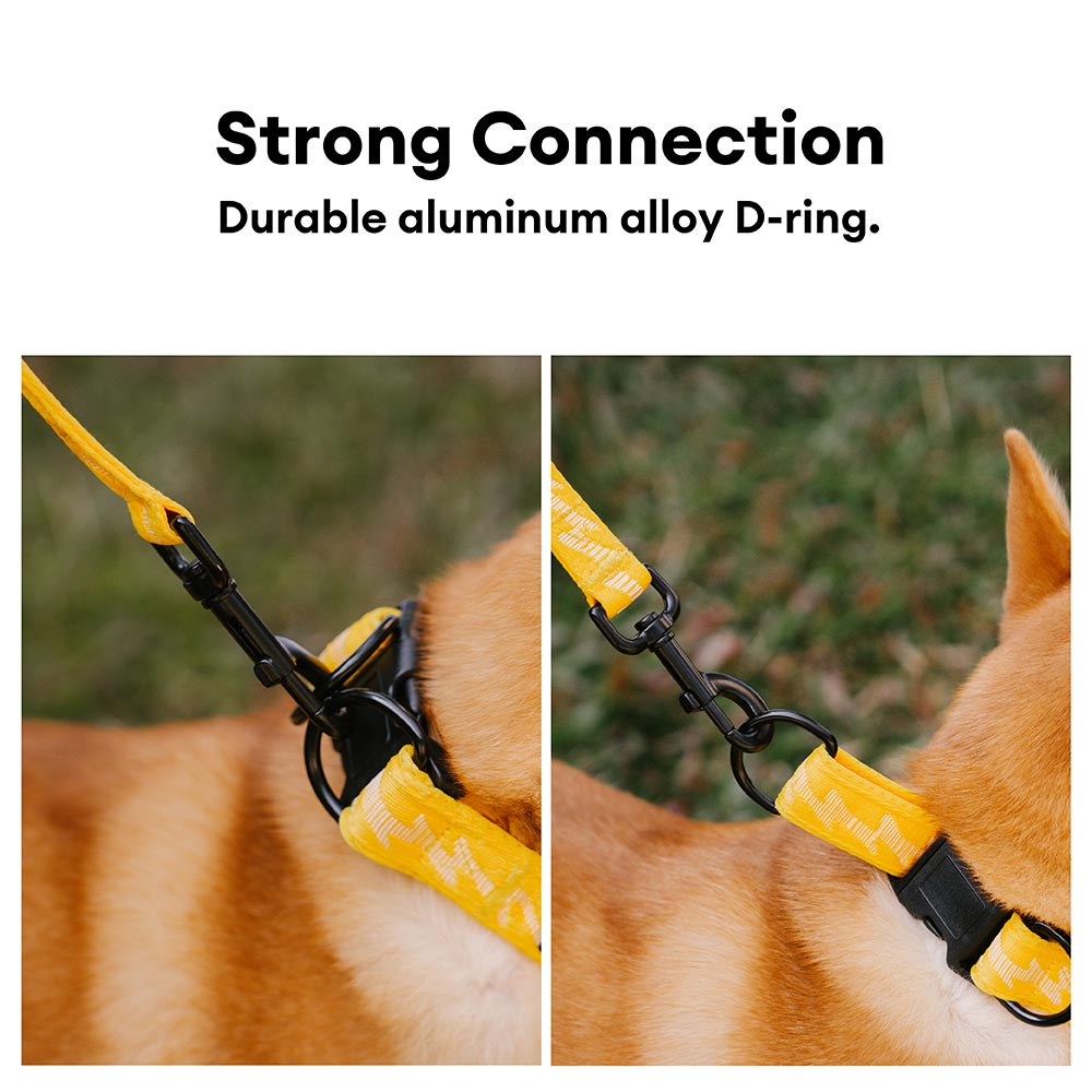 Funnyfuzzy Ajustable Nylon Durable Dog Collar - Flexi Walker