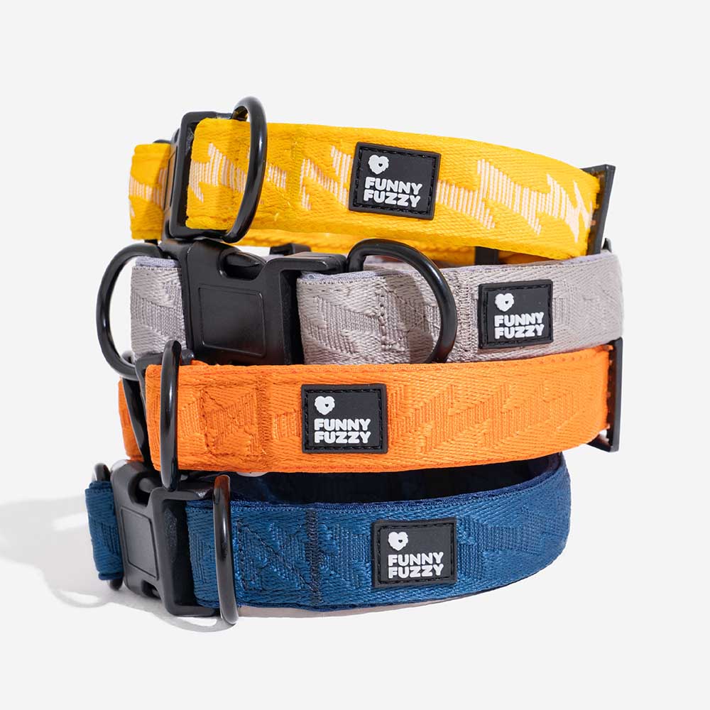 Funnyfuzzy Ajustable Nylon Durable Dog Collar - Flexi Walker