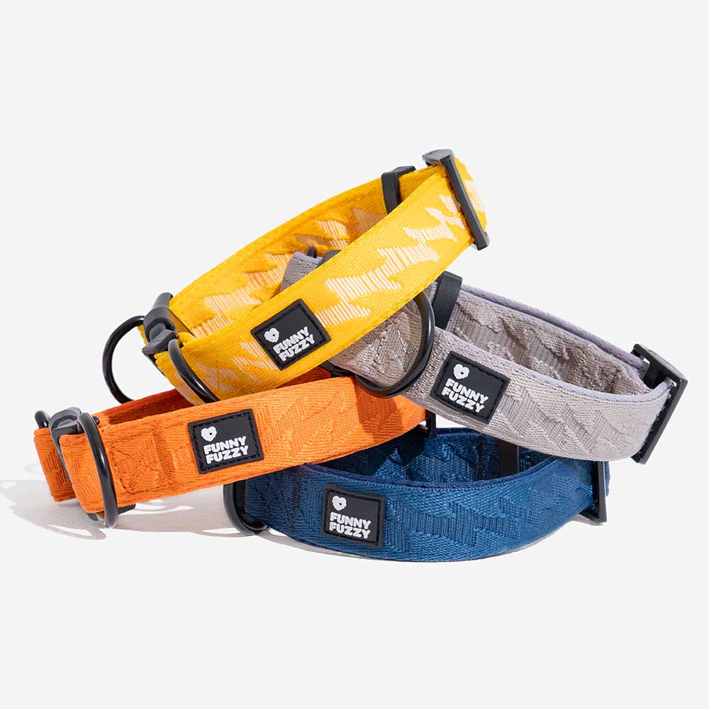 Funnyfuzzy Ajustable Nylon Durable Dog Collar - Flexi Walker