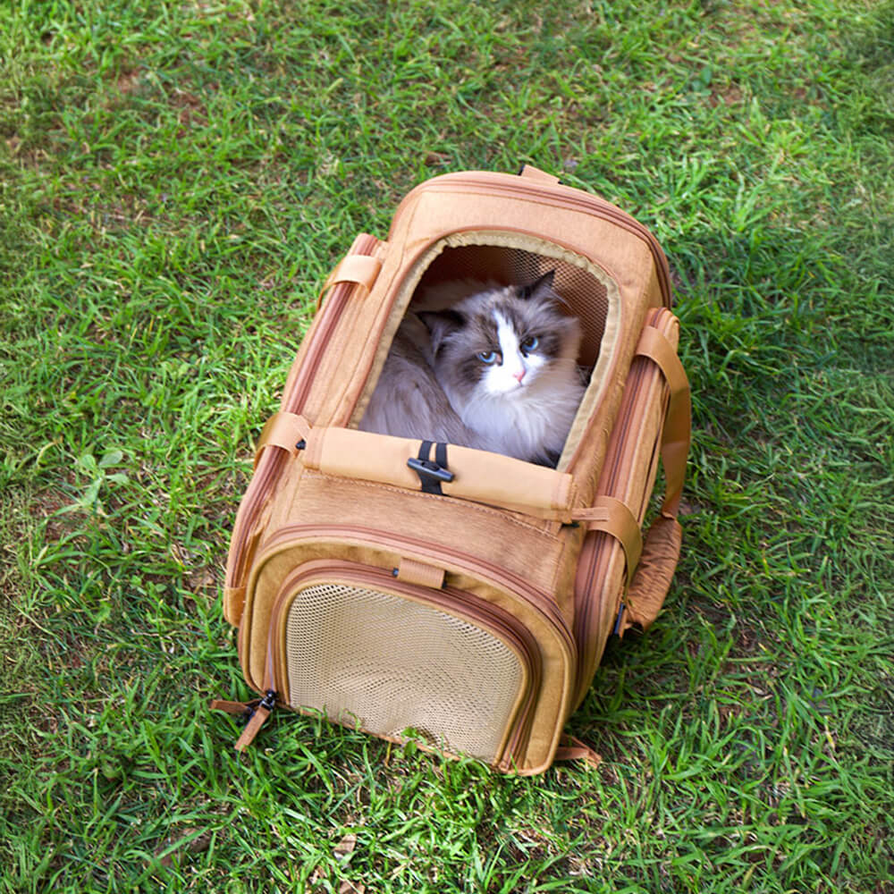 Bolsa de transporte de gatos de viaje de un solo hombro de hombro ampliable
