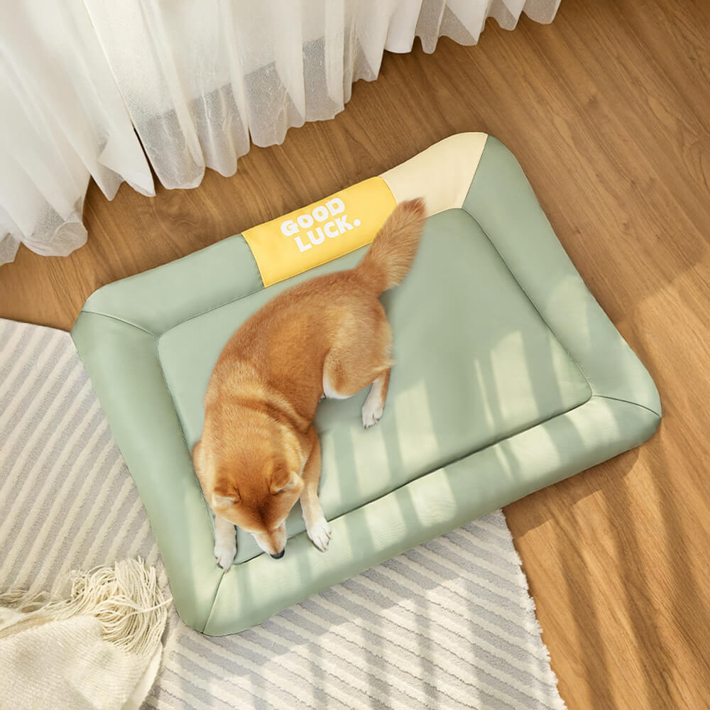 <tc>Color</tc>Tapete para perros Block, impermeable, resistente a arañazos y para todas las estaciones