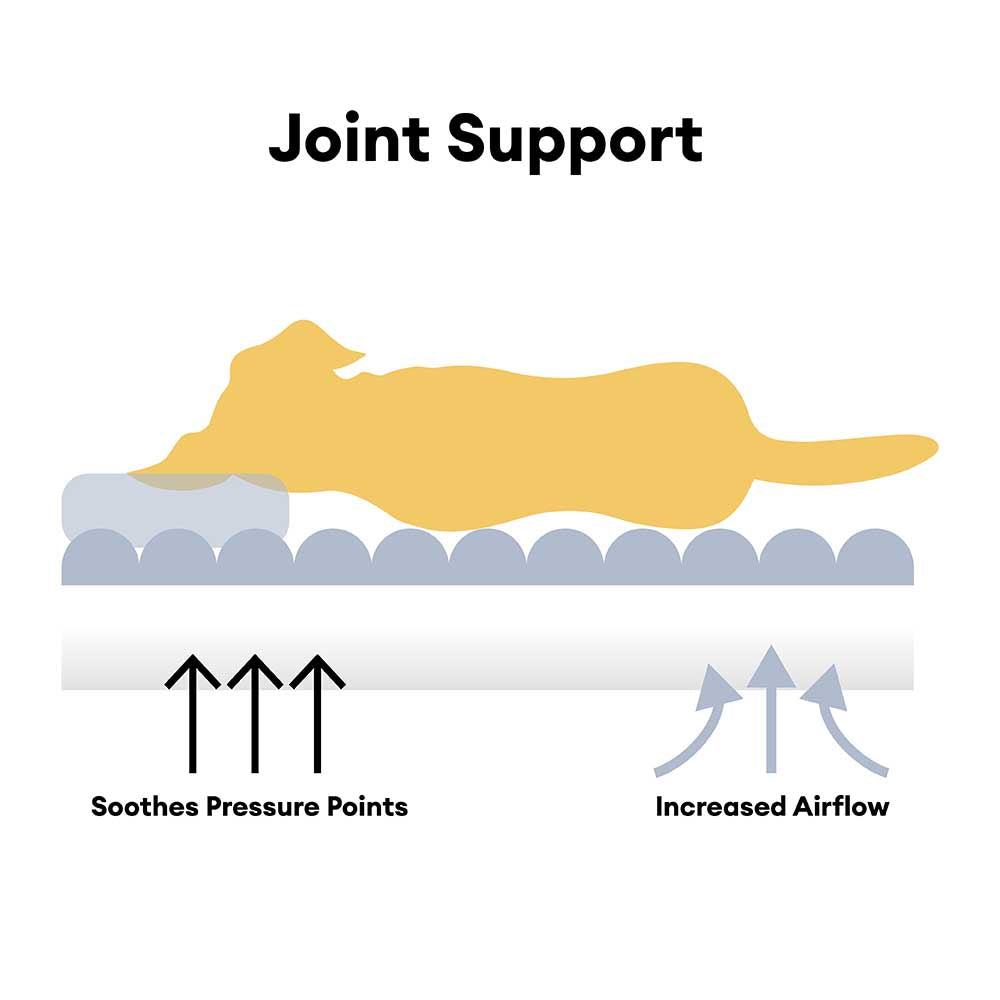 Cama de perro ortopédico rayado de rayas esponjosas - Luxe Comfort