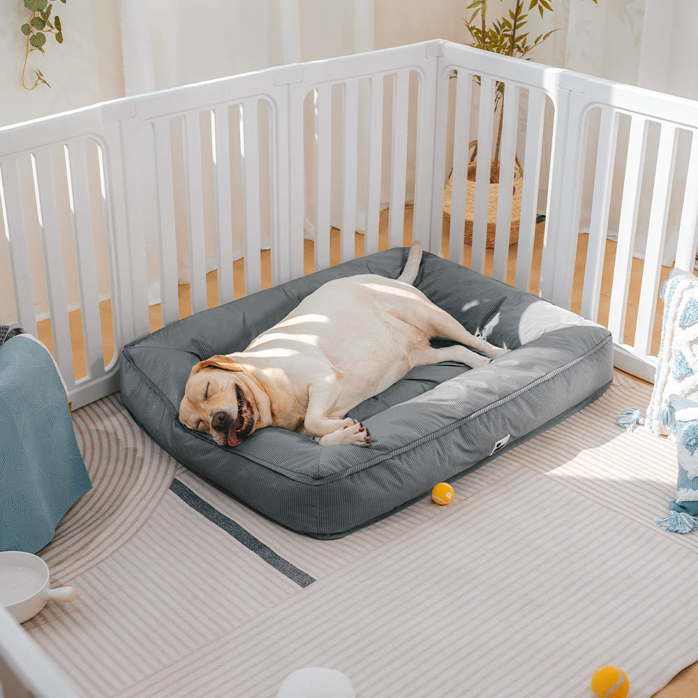 Vollständig orthopädisches, rundumstützendes, wasserdichtes Hundebett für große Hunde
