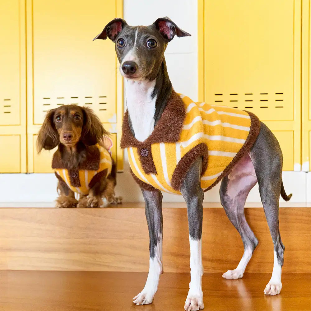 Color Blocked Striped Dachshund Polo Collar Dog Sweater