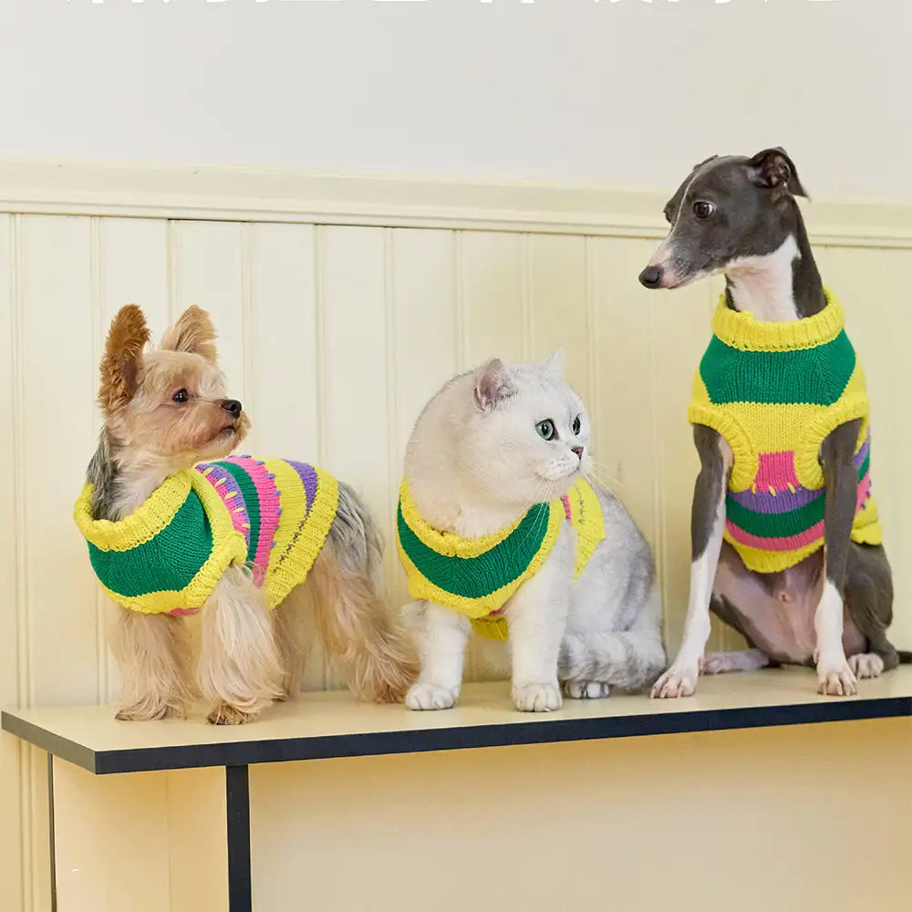 Color Blocked Striped Dachshund Sleeveless Dog Sweater