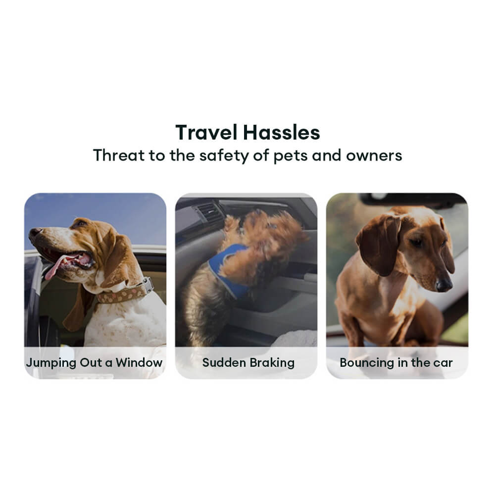 Cinturón de seguridad de autos de mascota que absorbe elástico elástico