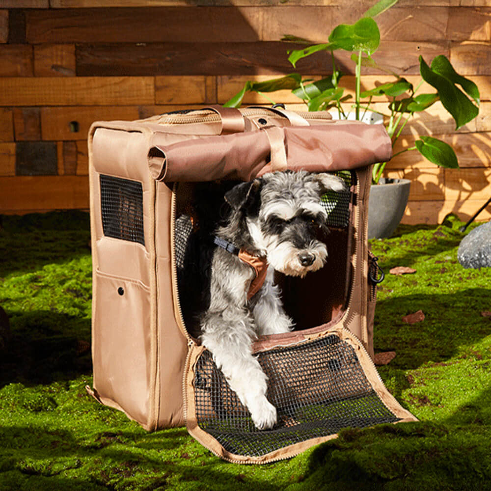 Sac à dos de transport pour animaux de compagnie, grand espace, maille respirante, imperméable, voyage