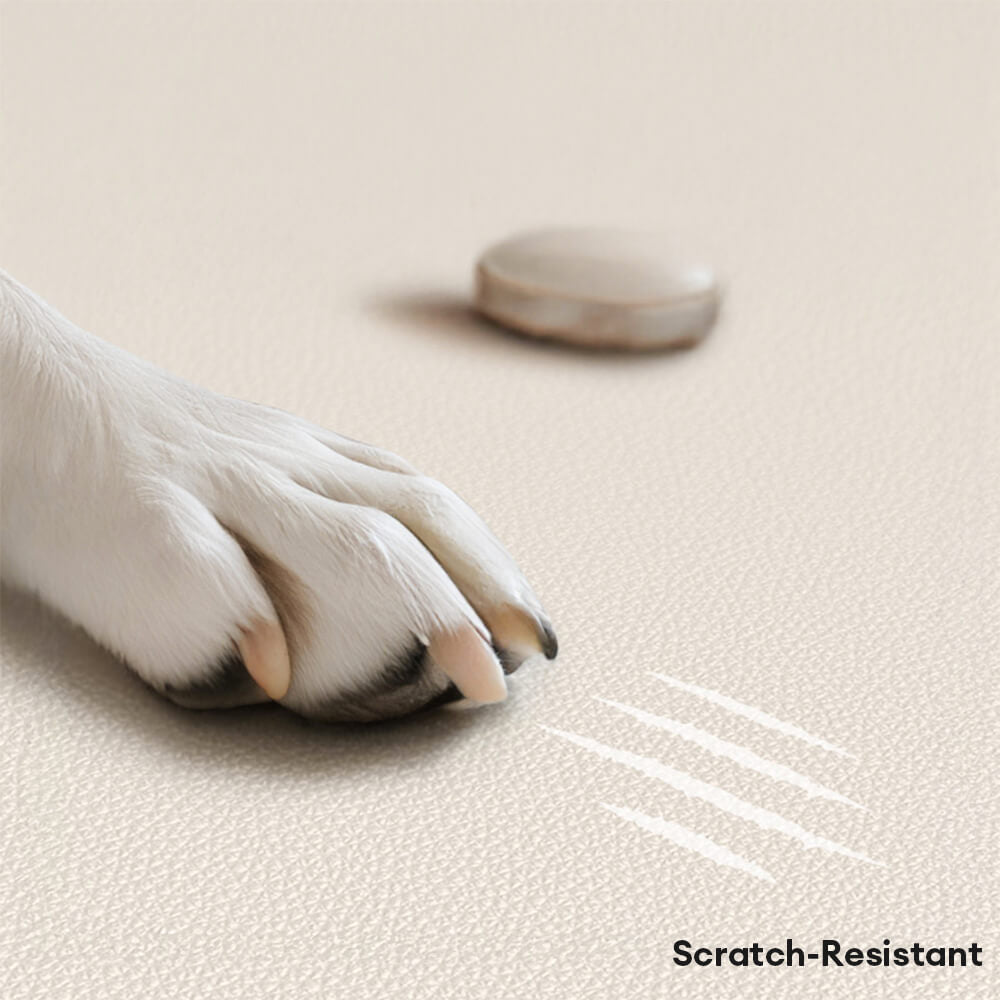 Luxury Natural Ladex Supportive Anti-Srratch Dog & Cat Sofa Bed