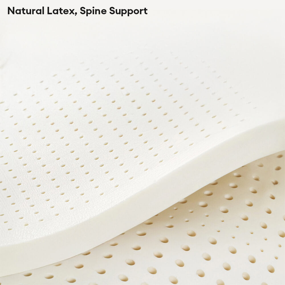 Luxury Natural Ladex Supportive Anti-Srratch Dog & Cat Sofa Bed