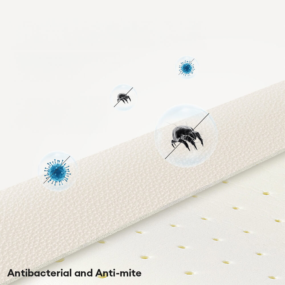 Luxury Natural Ladex Supportive Anti-Srratch Dog & Cat Sofa Bed