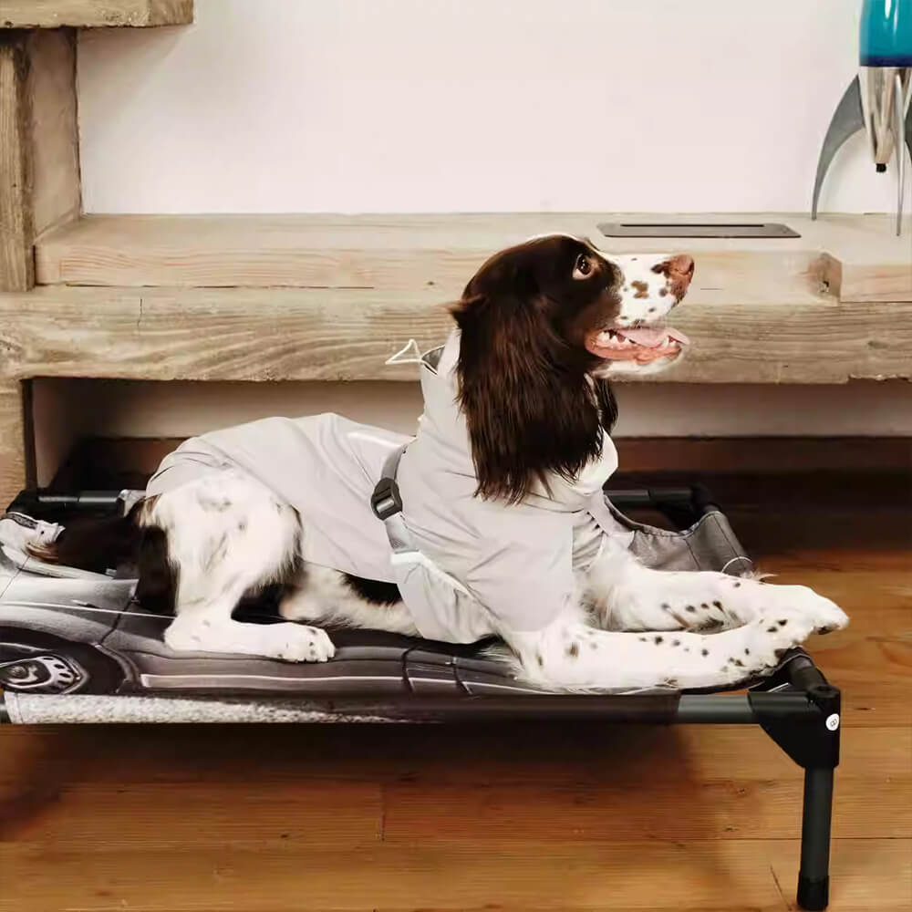 Elegante Giacca per cani a collo di cucchiaino leggero impermeabile.