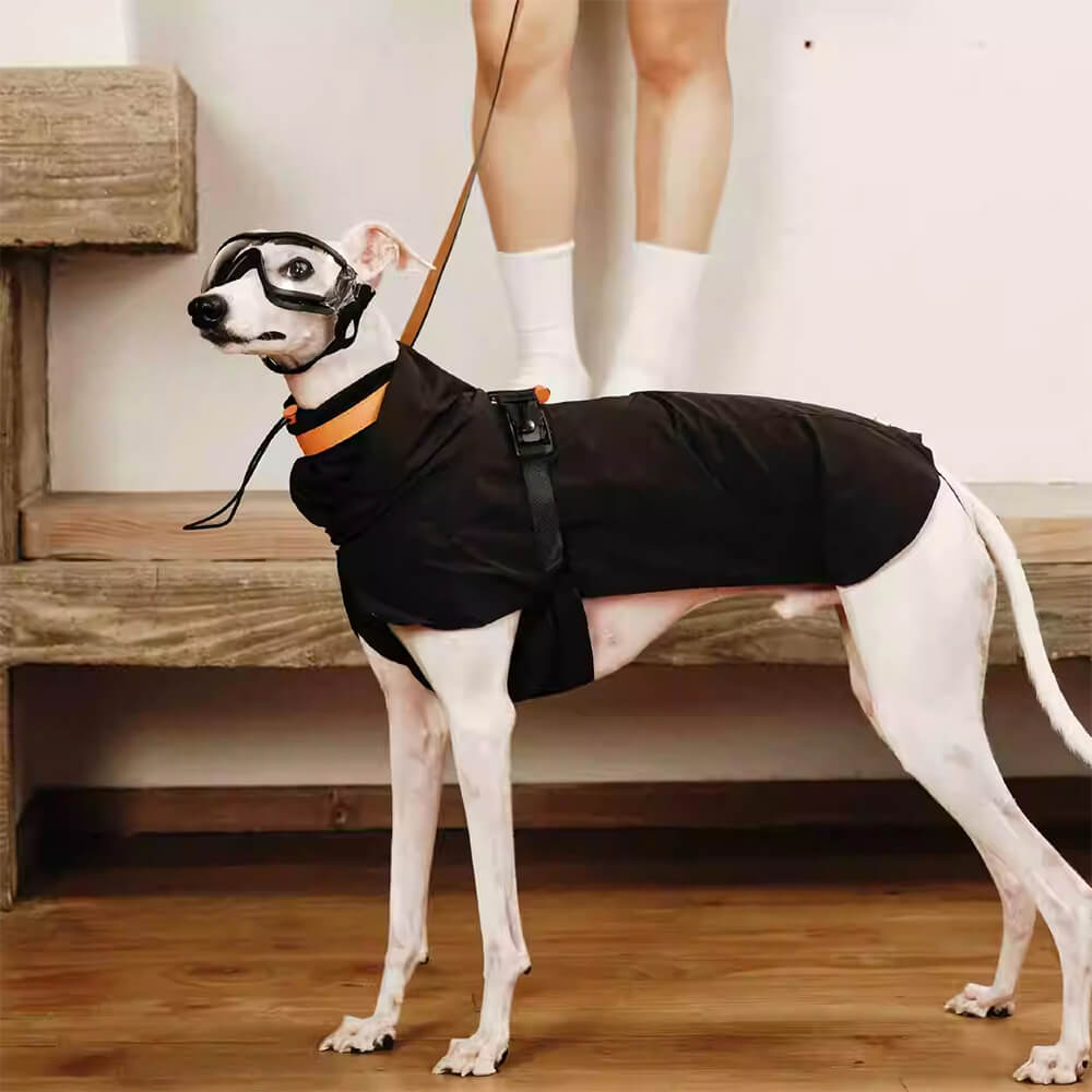 Elegante Giacca per cani a collo di cucchiaino leggero impermeabile.