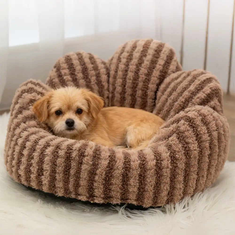 Petal-Shaped Striped Plush Pet Sofa Bed