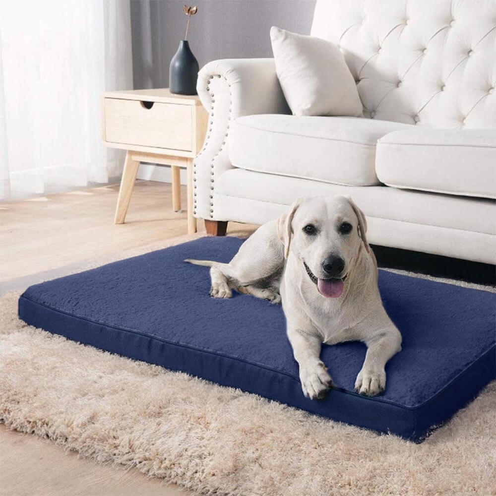 Cama de perros de espuma de memoria ortopédica impermeable