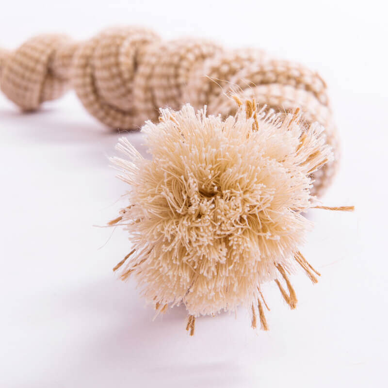 Ensemble de jouets en corde de coton et lin, nettoyage des dents, jouet interactif à mâcher pour chien
