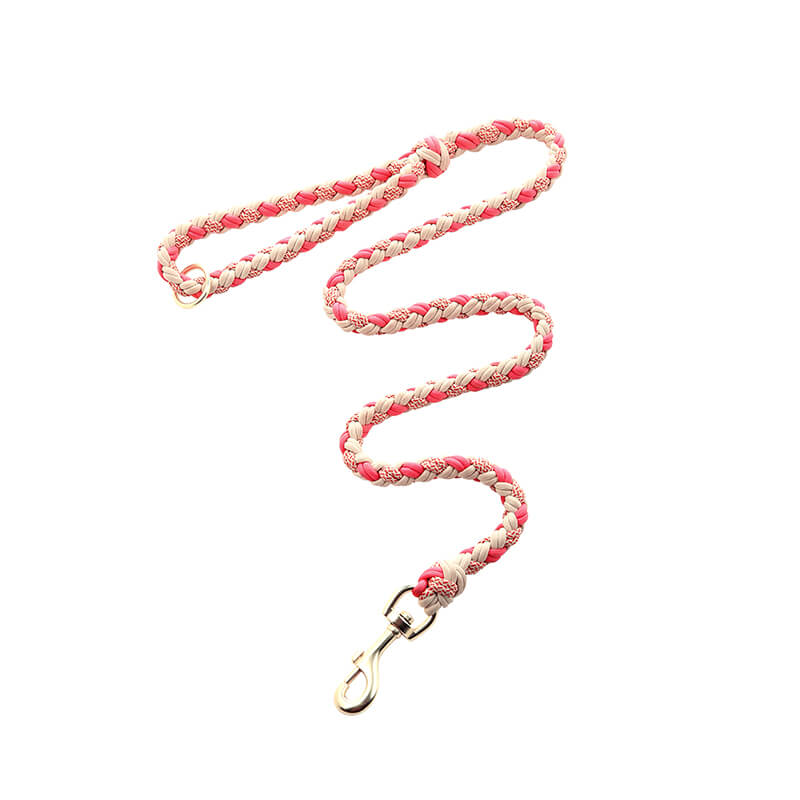 Multifunktionales Anti-Pull-Hundehalsband und Leine-Set aus handgewebtem Leder