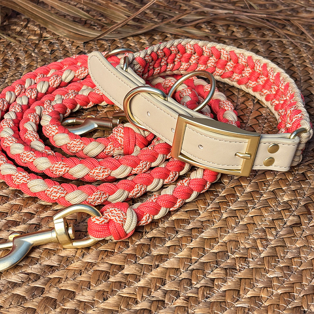 Multifunktionales Anti-Pull-Hundehalsband und Leine-Set aus handgewebtem Leder