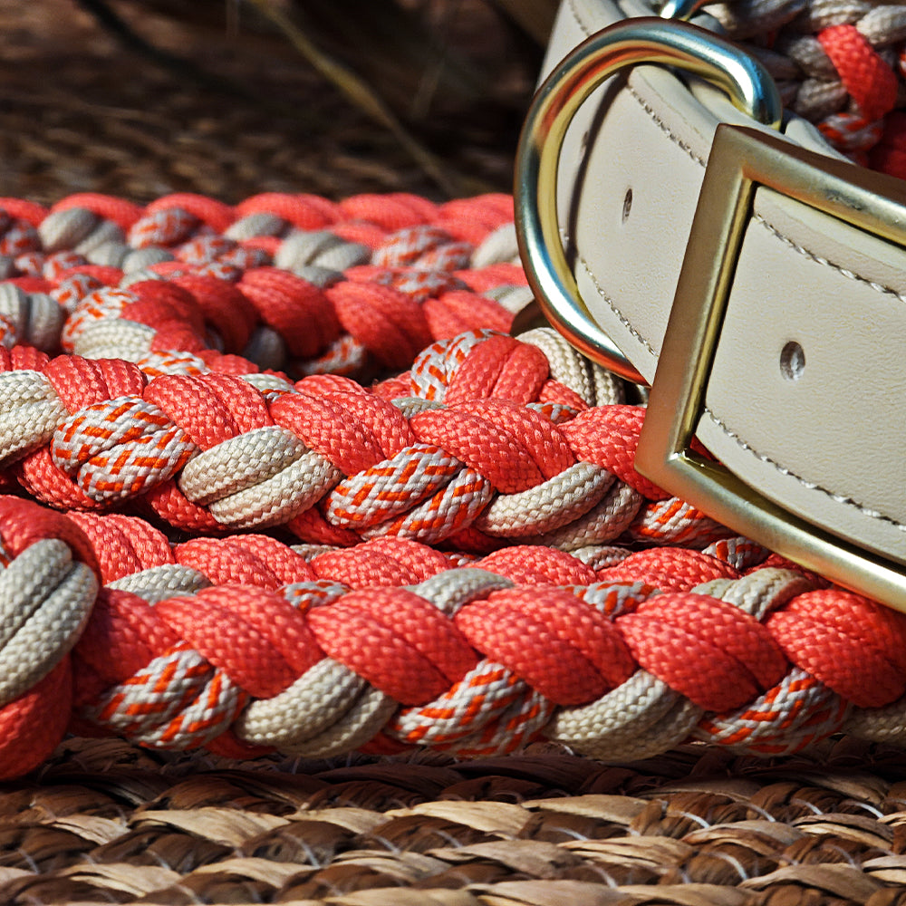 Multifunktionales Anti-Pull-Hundehalsband und Leine-Set aus handgewebtem Leder