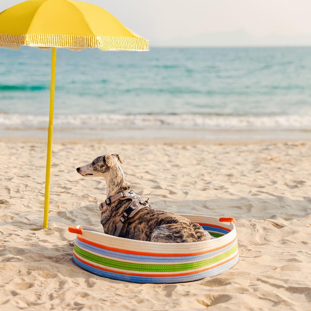 Cama para mascotas calmante de rayas a mano - nido atemporal