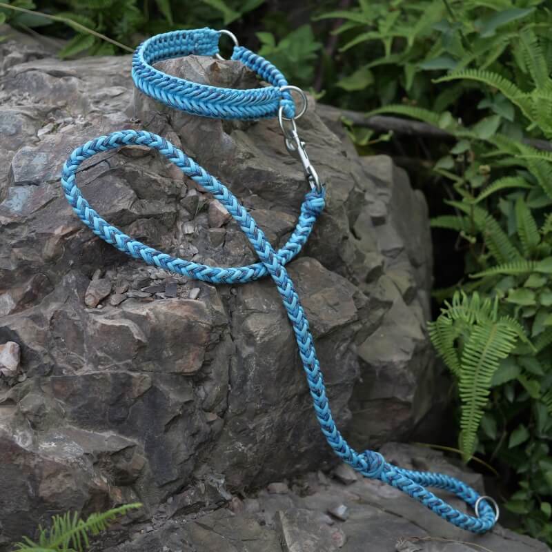 Grand collier et laisse pour chien lumineux anti-traction faits à la main