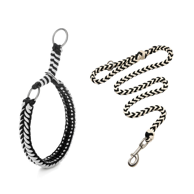 Grand collier et laisse pour chien lumineux anti-traction faits à la main